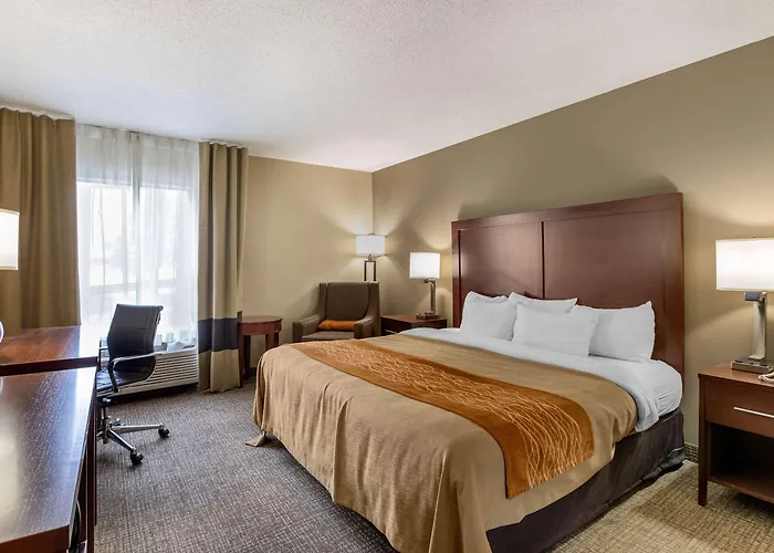 Comfort Inn Walcott Near Davenport
