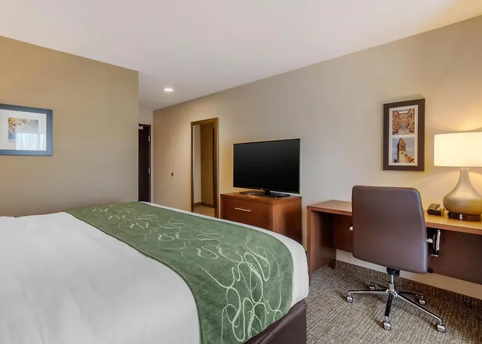 Comfort Inn & Suites Schenectady - Scotia