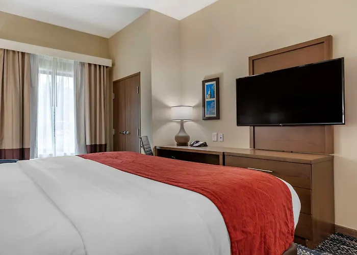 Comfort Inn & Suites Downtown Near University Tuscaloosa