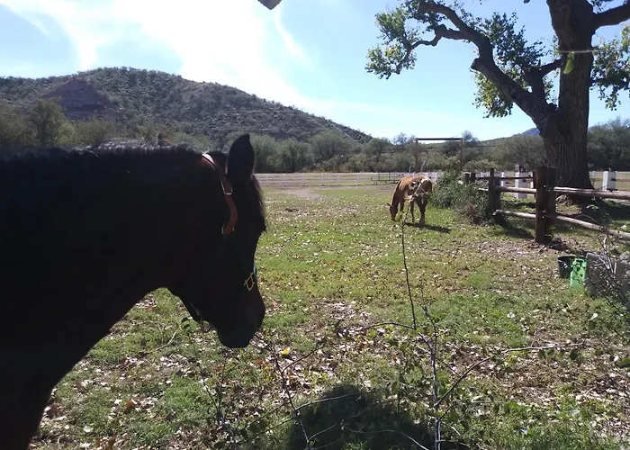 Rancho Santa Cruz
