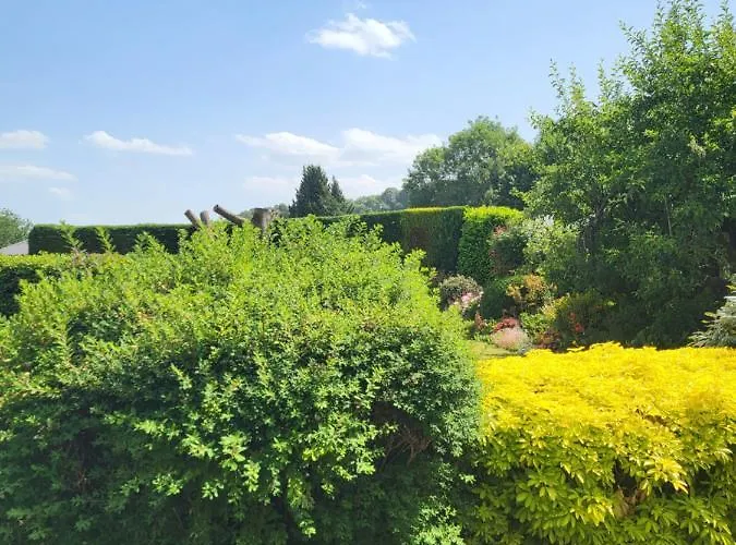 The Garden Rooms At Tannery House