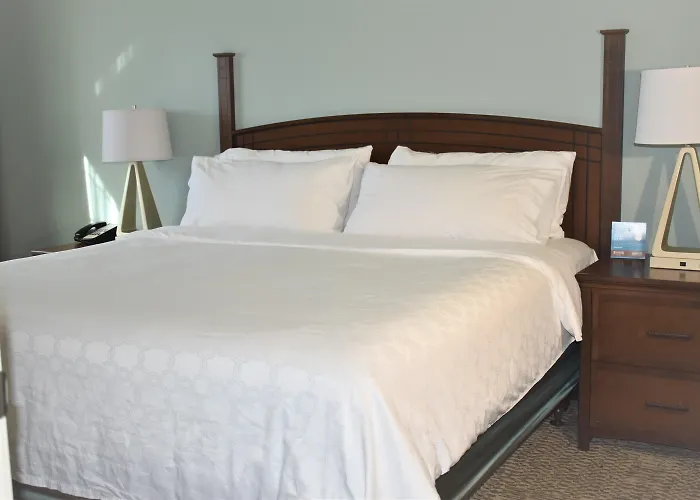 Staybridge Suites Albuquerque North By Ihg