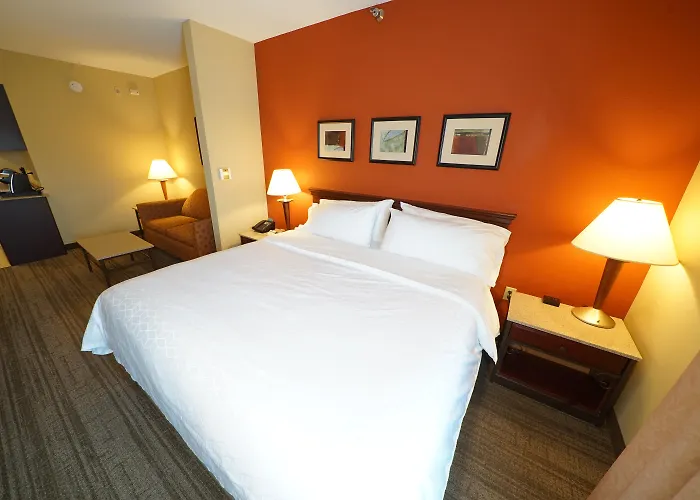 Holiday Inn Express Hotel & Suites Tampa-Oldsmar By Ihg
