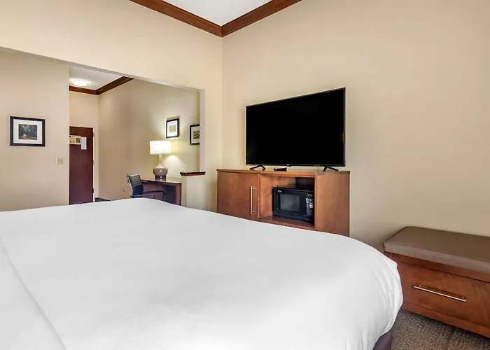 Comfort Inn & Suites Statesboro - University Area
