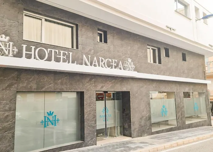 Hotel Narcea