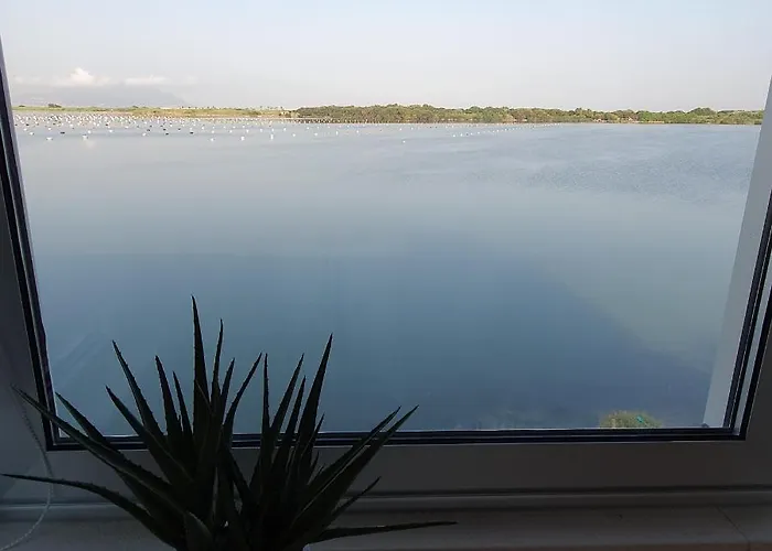 View Room