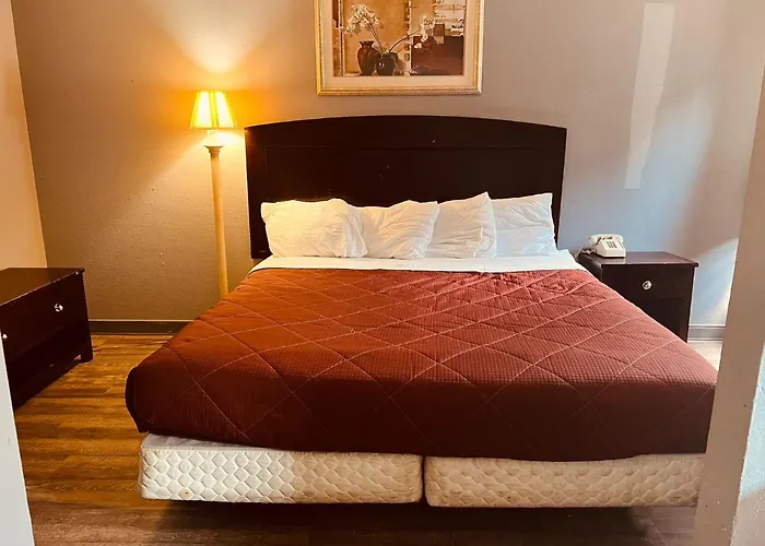 Palace Inn & Suites - /Jefferson Ave