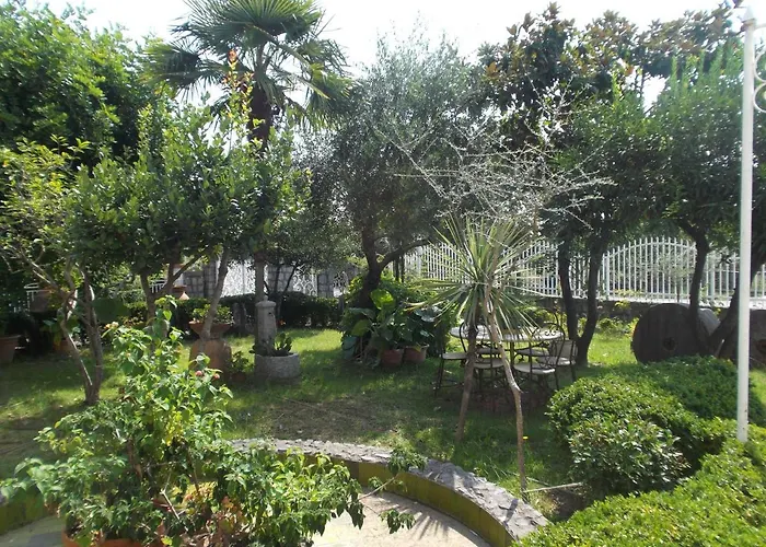 Le Magnolie