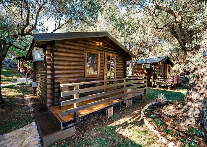 Holiday Park Olive Tree