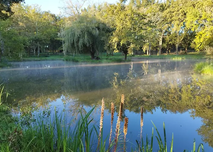 Le Ranch Amadeus