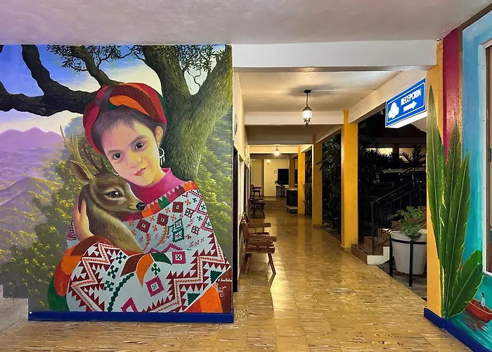 Hotel Cosmos Tamasopo