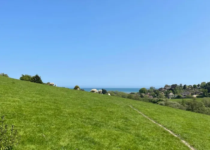 Fairlight Cove