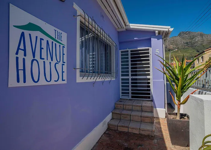 The Avenue House