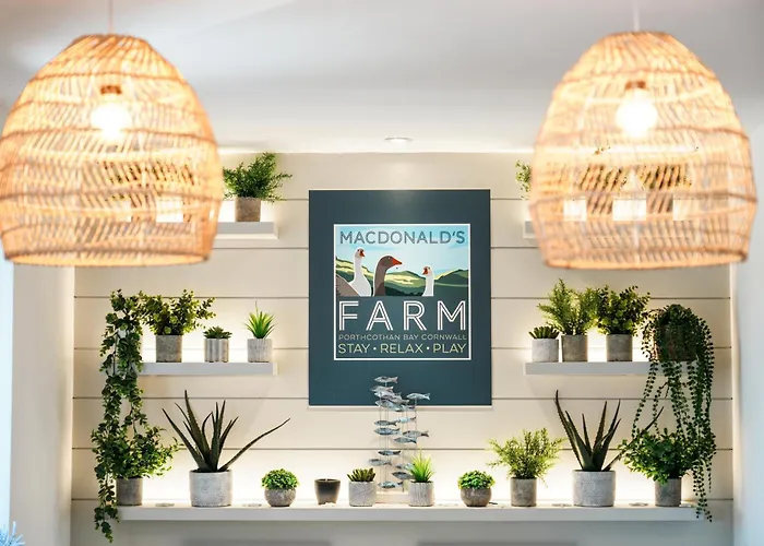 Macdonald'S Farm