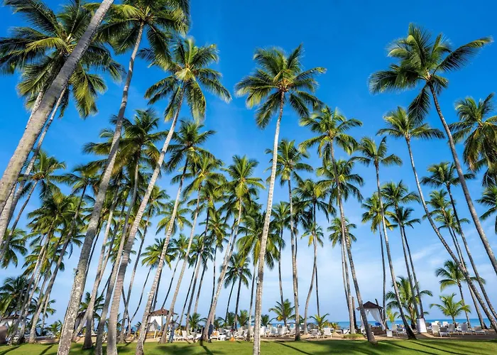 Viva V Samana By Wyndham, A Trademark Adults All Inclusive