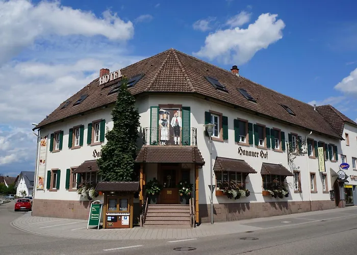 Hotel Hanauerhof Appenweier