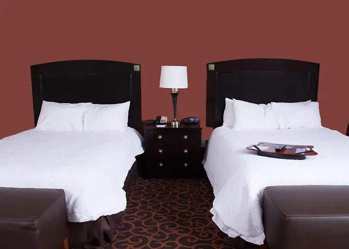 Hampton Inn & Suites Dickinson Nd