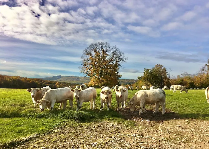 Domaine Joseph Lafarge Wine Resort B&B Lugny