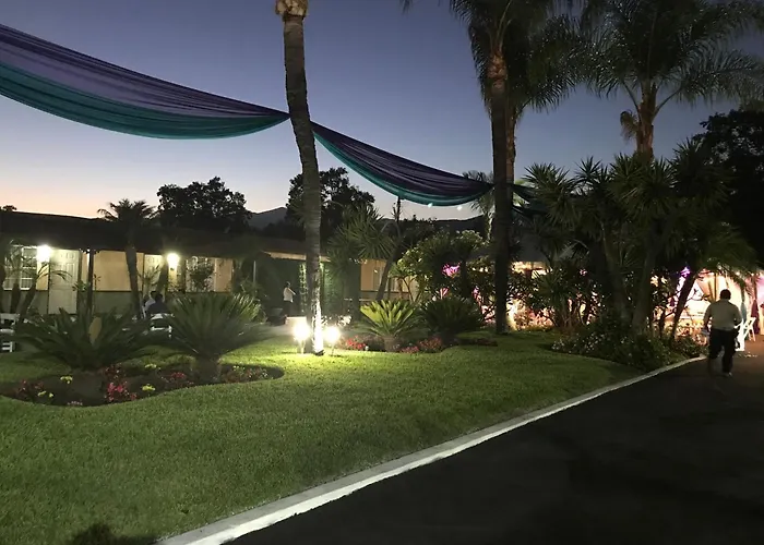 Palm Tropics Motel
