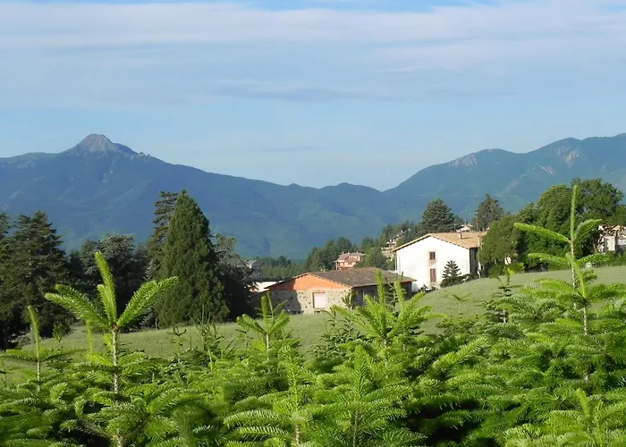 Hotel Ripoll