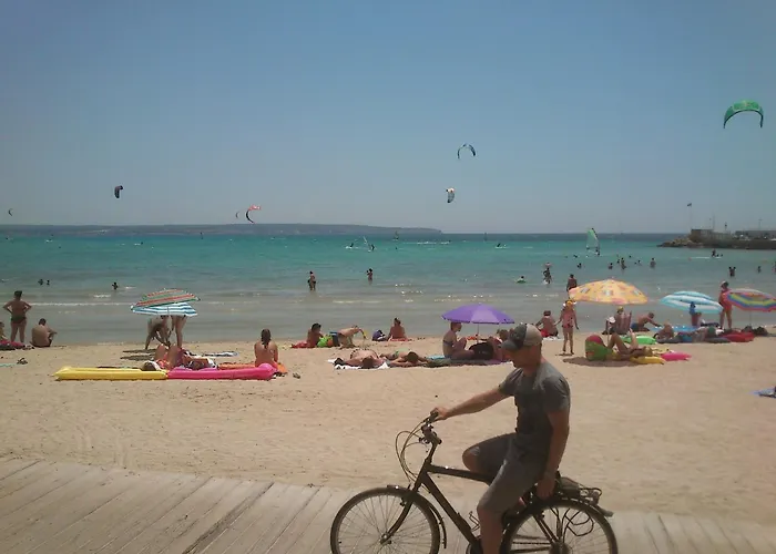Bari