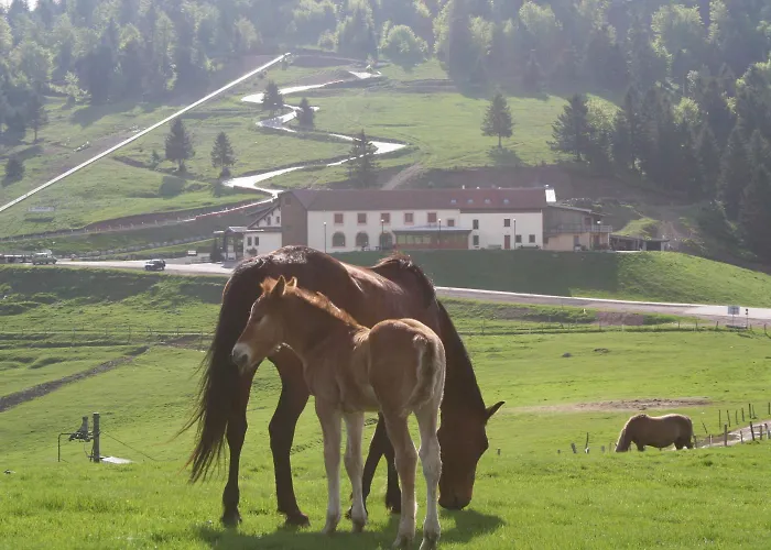 Hotel Chaume de Balveurche à Xonrupt-Longemer