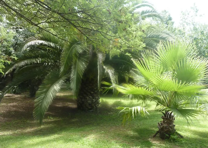 Hôtels pas chers à Agde