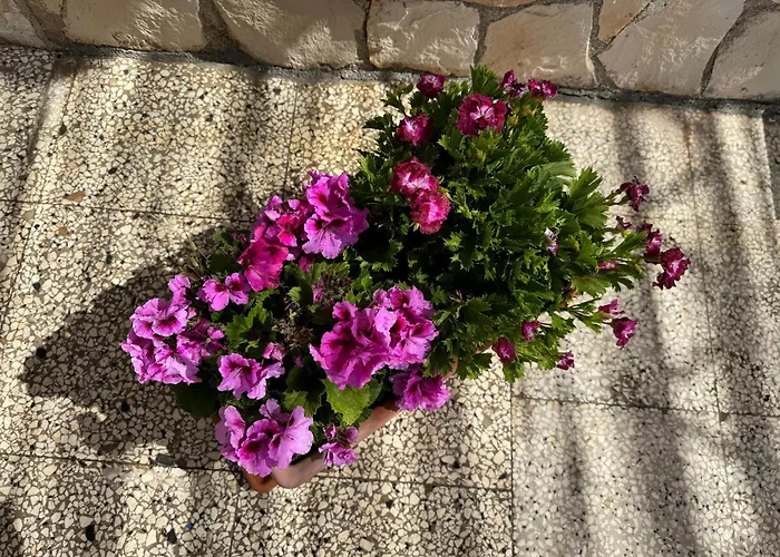 Bed and Breakfast Mare Chiaro Torre Vado