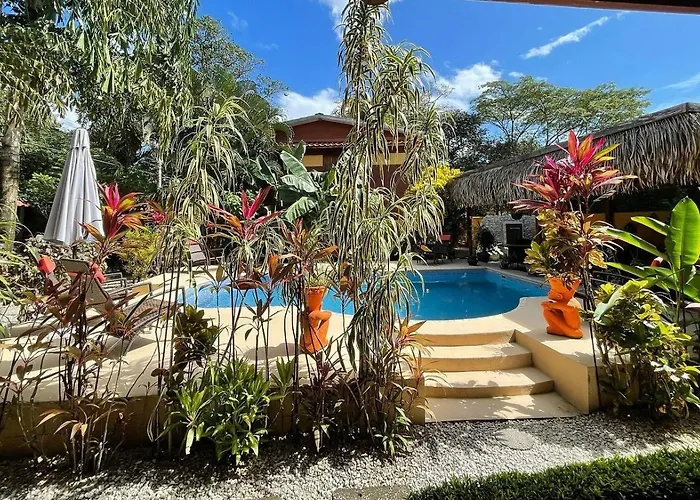 Palm Lodge