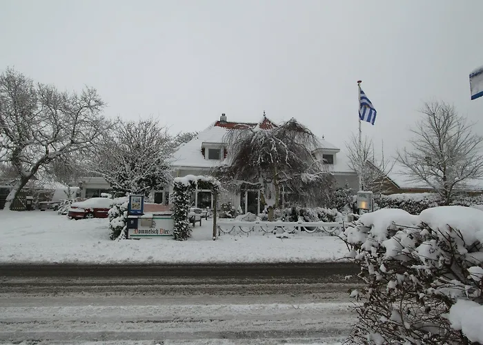 Zilvermeeuw