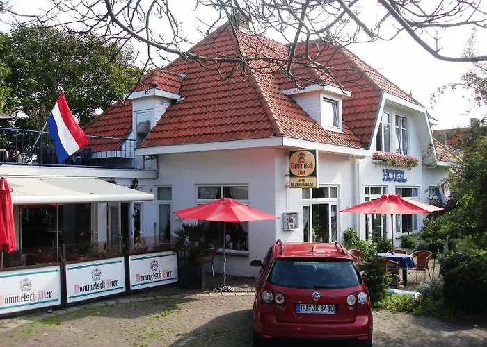 Zilvermeeuw