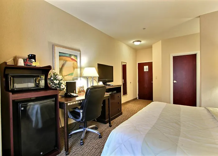 Magnolia Inn And Suites Pooler