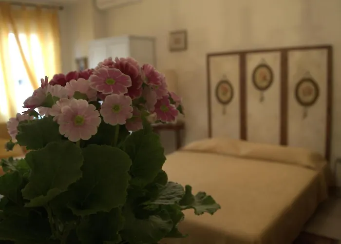B&B All'Ombra di San Pietro