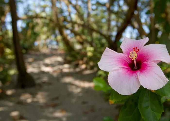 Gitana del Mar Beach Retreat