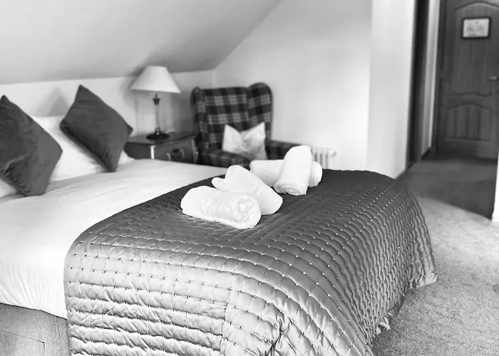 Druid House B&B