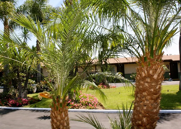 Palm Tropics Motel