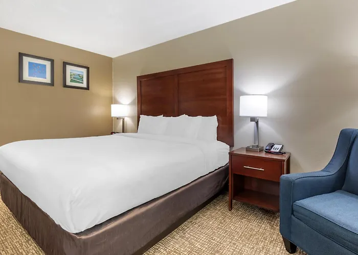 Comfort Inn & Suites Temple - Medical Center