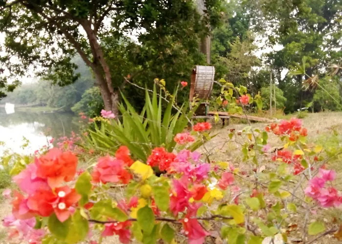 Laguna Rosa Glamping