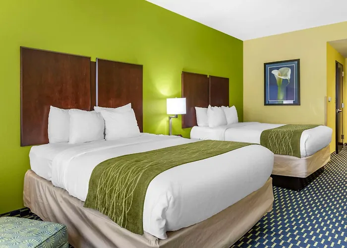 Comfort Inn Athens I - 75