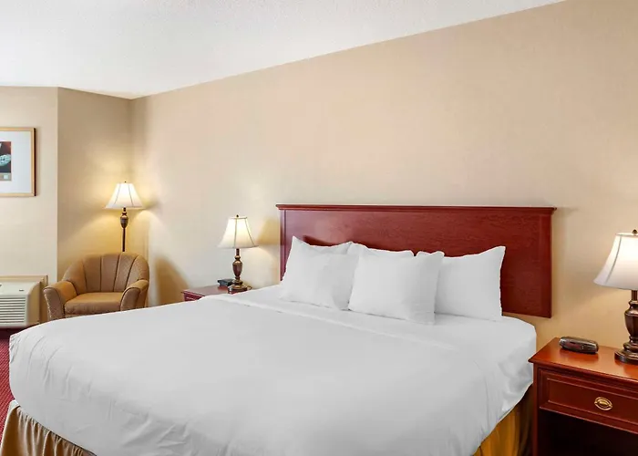 Quality Inn & Suites Edmonton International Airport Leduc