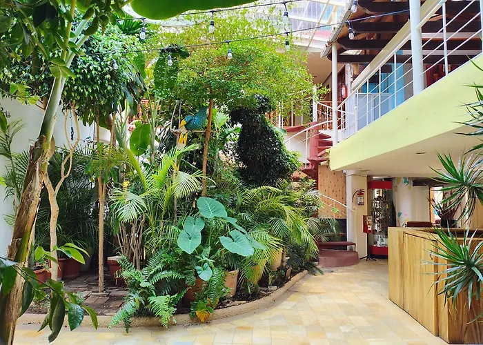 Hotel Barrio Antiguo