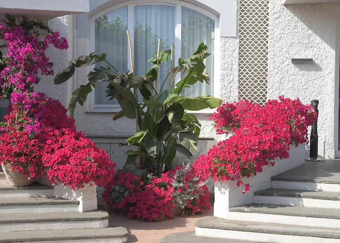 Bajamar Beach Hotel