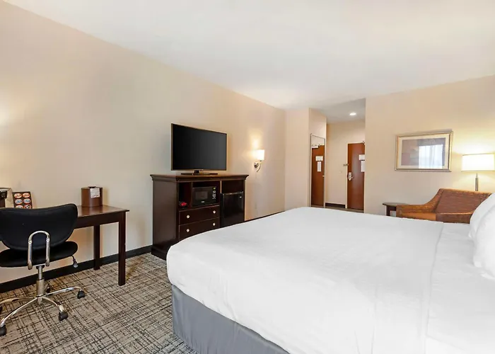 Best Western Plus Greenville South