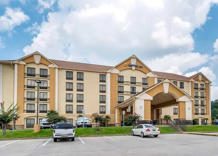 Comfort Birmingham Homewood