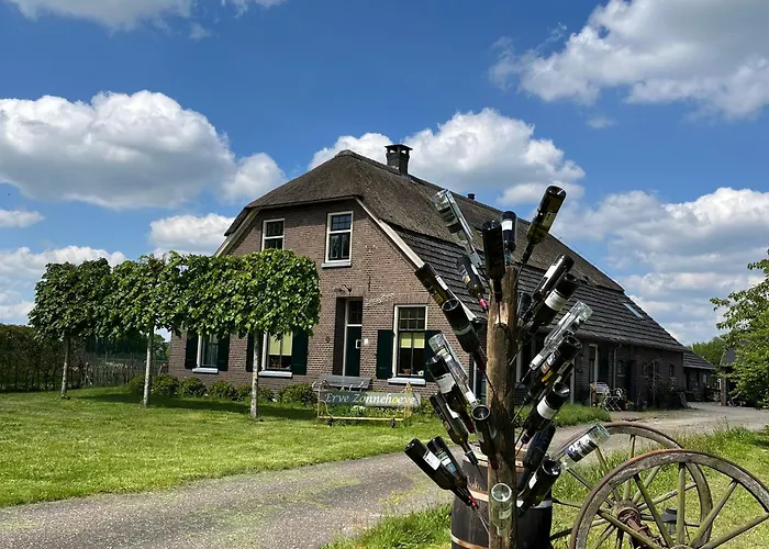 Erve Zonnehoeve B&B en Wijngaard