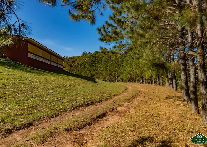 Fazenda D'anape