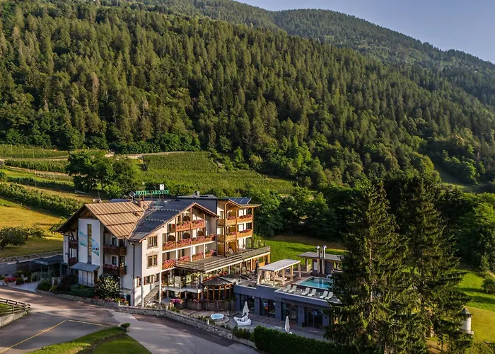 Hotel Ariston Garden & Spa Monclassico