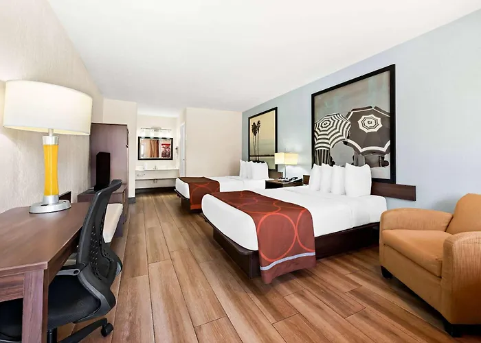Super 8 By Wyndham Florida City/Homestead/Everglades