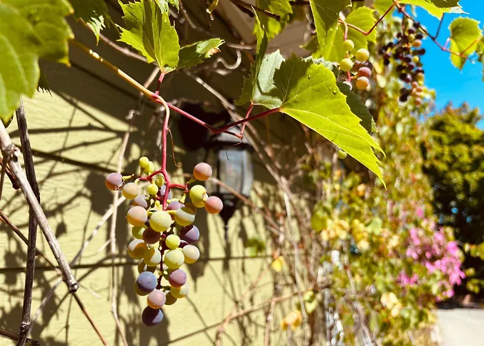 Auberge Sous Les Arbres Gaspe