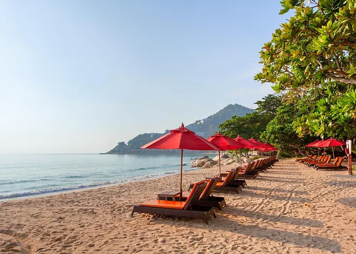 New Star Beach Resort